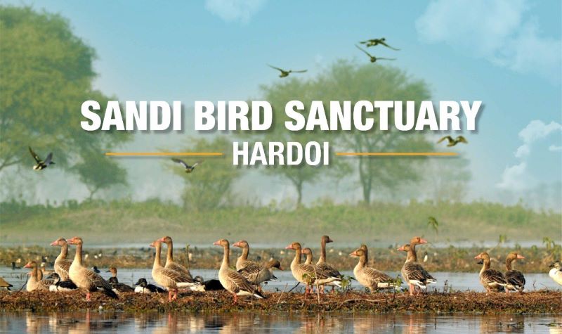 Sandi Bird Sanctuary - Uttar Pradesh